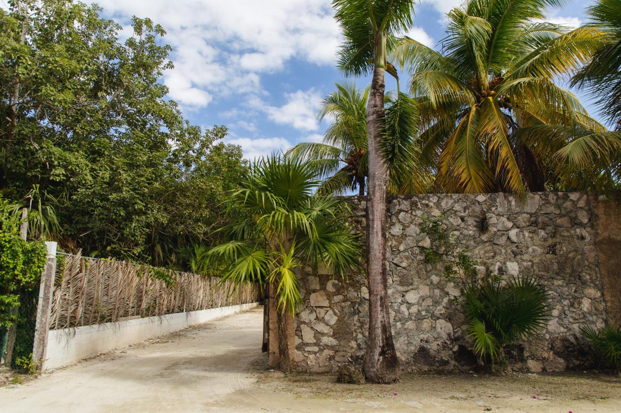 Angelina 28 Beachfront And Family Apartments - Modern And Relaxing Long Stays - 20 Min From Cancun Airport Puerto Morelos Εξωτερικό φωτογραφία